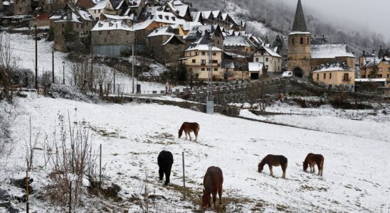 how Catalonia saves… Occitan – LExpress