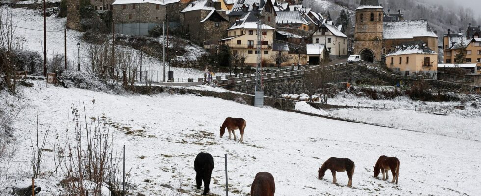 how Catalonia saves… Occitan – LExpress