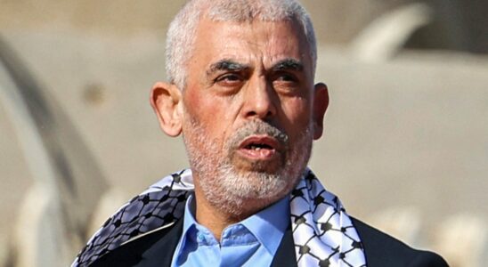 how Israel eliminated the leader of Hamas by chance or