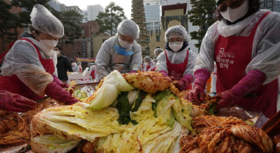 napa cabbage symbol of the impacts of climate change on