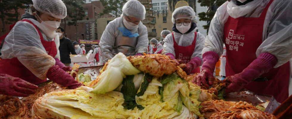 napa cabbage symbol of the impacts of climate change on