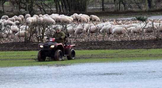 terrible agricultural harvests for the second year in a row