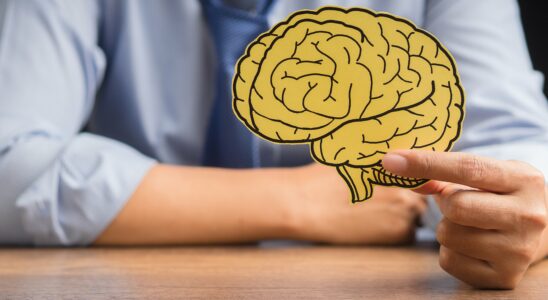 the false promises of neuromanagement – ​​LExpress