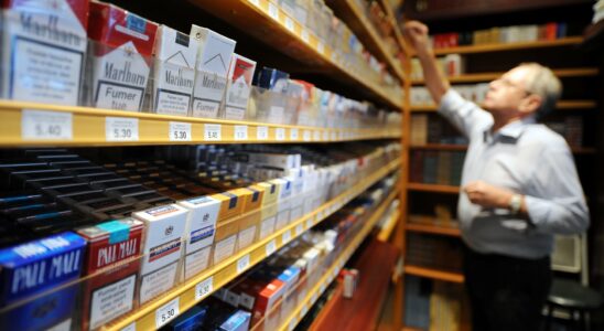 the spectacular gains of French tobacconists – LExpress