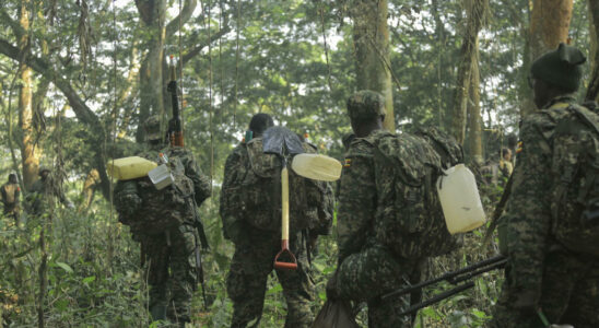 two ADF leaders neutralized by the Congolese and Ugandan armies