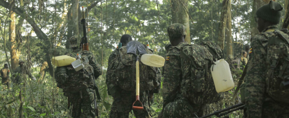 two ADF leaders neutralized by the Congolese and Ugandan armies