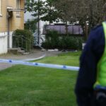 17 year old convicted of murder in Gothenburg