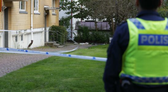 17 year old convicted of murder in Gothenburg