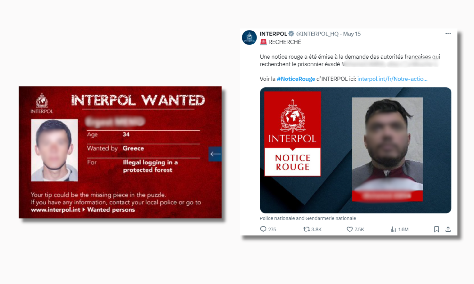 On the left a wanted notice issued by Interpol found on Facebook before 2019, on the right the new presentation of the red notice, as it appears on the official website.