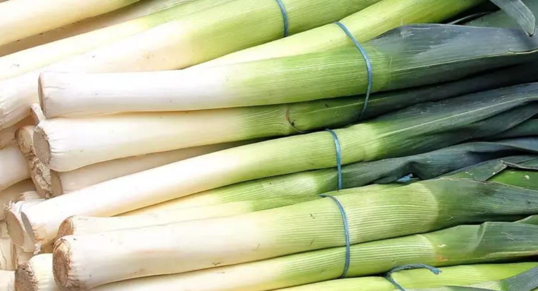 leek1