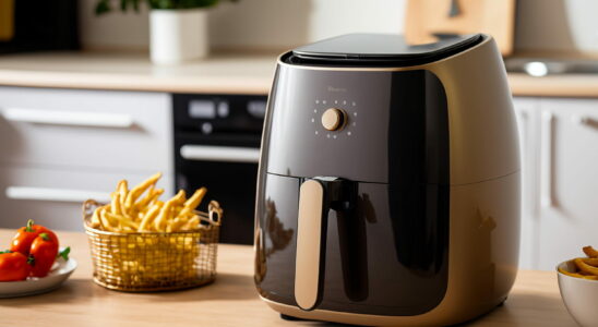 1732165388 oil free fryers from 35 euros at Lidl 64 at Rakuten