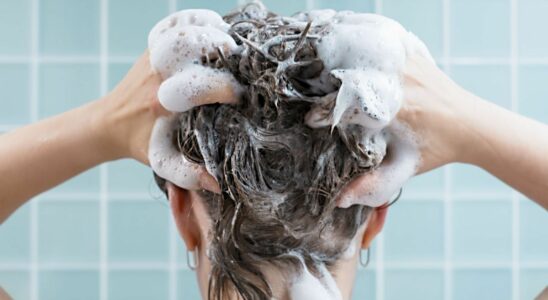 5 essential tips from a pro for the perfect shampoo