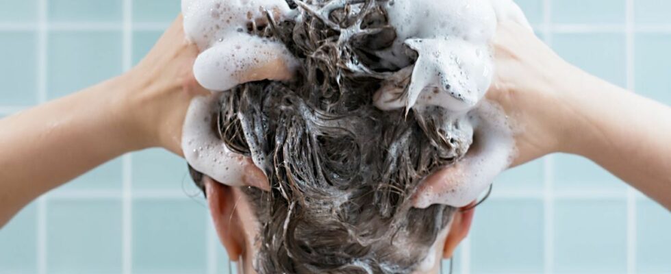 5 essential tips from a pro for the perfect shampoo