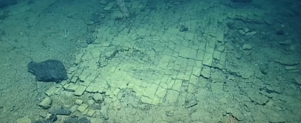 A yellow brick road deep in the Pacific Ocean awakens