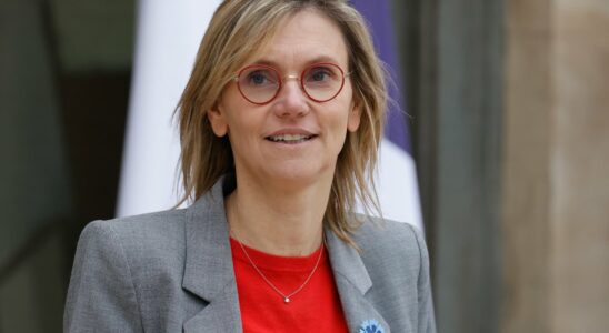 Agnes Pannier Runacher will not go to COP29 – LExpress