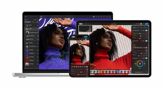 Apple acquired Pixelmator which has photo focused solutions