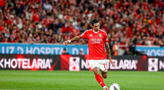 Benfica Porto behind the unbeatable Sporting the quest for