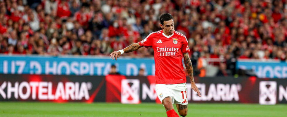 Benfica Porto behind the unbeatable Sporting the quest for