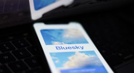 Bluesky the social network that benefits from the election of