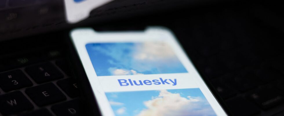 Bluesky the social network that benefits from the election of