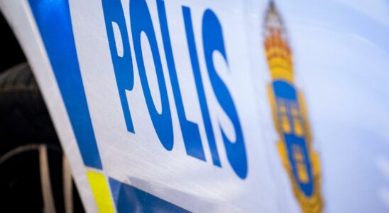 Boy arrested with several weapons in Danish taxi