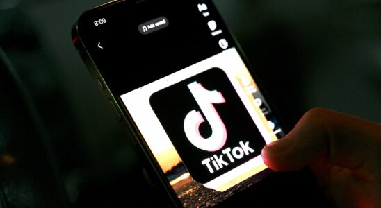 Can TikTok be held responsible for teenage suicide – The