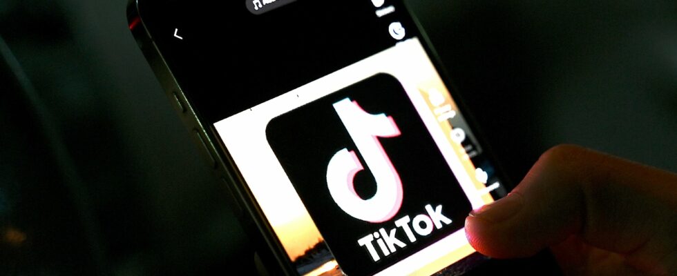 Can TikTok be held responsible for teenage suicide – The