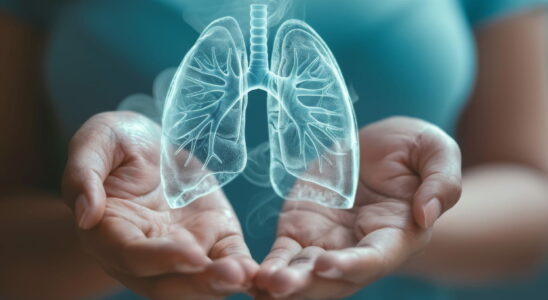 Do the lungs regenerate when you stop smoking