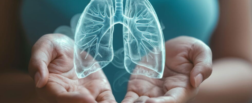 Do the lungs regenerate when you stop smoking