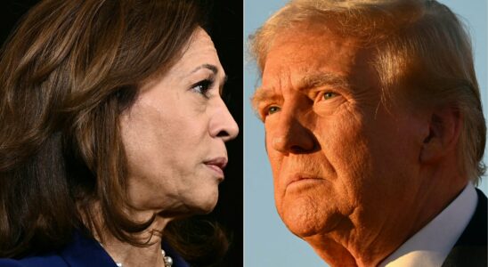 Donald Trump or Kamala Harris the suspense remains total –