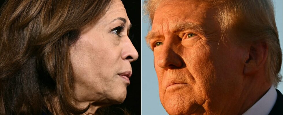 Donald Trump or Kamala Harris the suspense remains total –