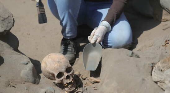 Dozens of childrens bodies found at pre Inca burial site they