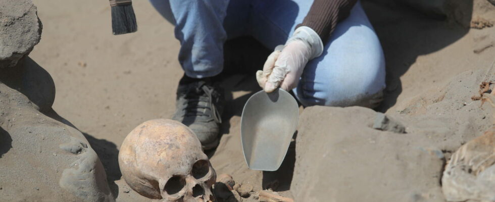 Dozens of childrens bodies found at pre Inca burial site they