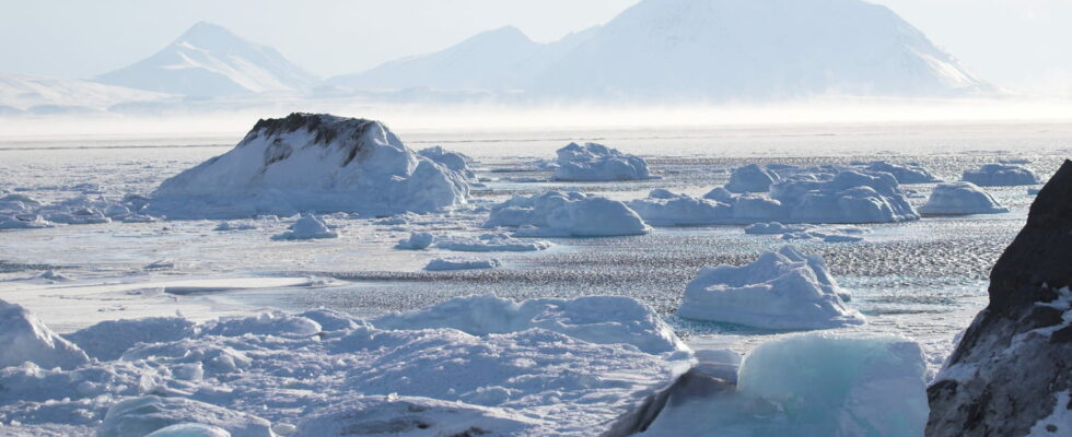 During a study on the effects of global warming in