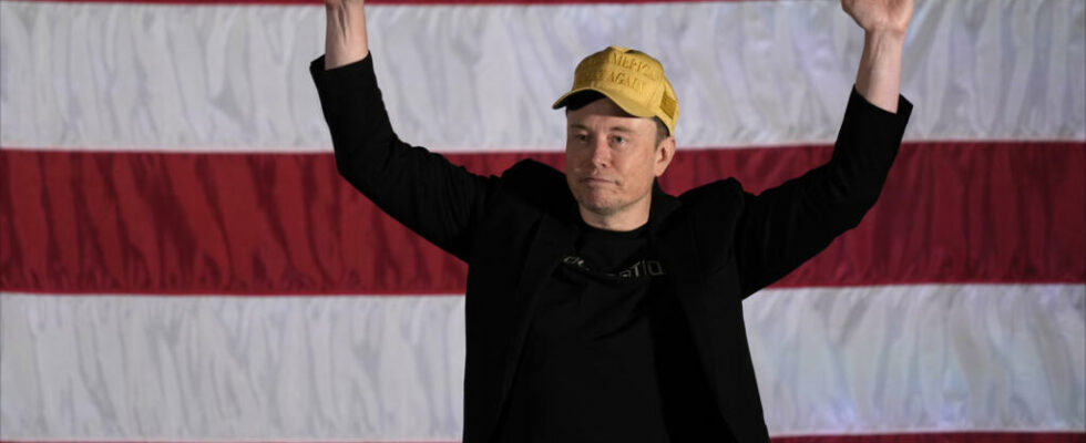 Elon Musk appointed head of government efficiency department by Donald