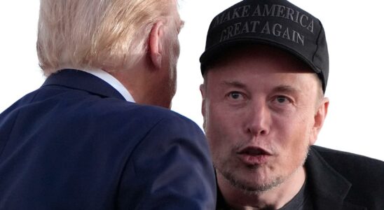 Elon Musk chose Trump – the Tesla billionaire could be