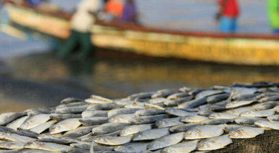 European boats to stop fishing off the country after agreement