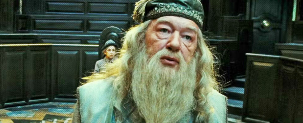 Favorite for the new Dumbledore is clear its a Steven