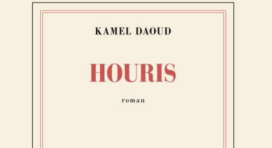 Franco Algerian author Kamel Daoud targeted by controversy Gallimard denounces defamation