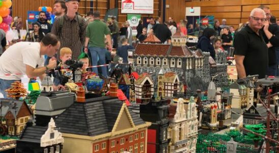 Free admission to the LEGO fair in Leerdam People with