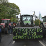 French MPs support government opposition