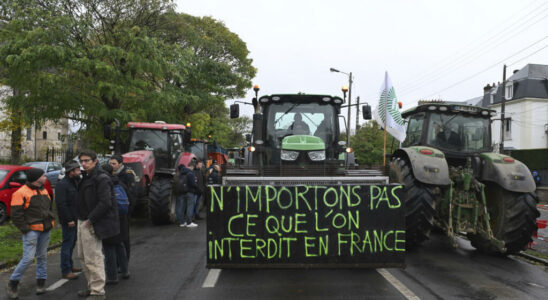 French MPs support government opposition