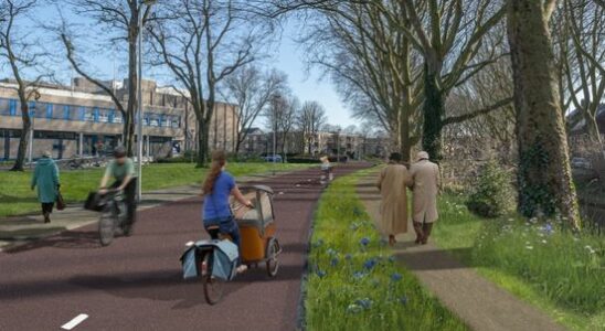 Griftpark residents angry about plans for a cycle route Participation