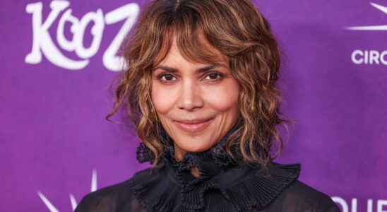 Halle Berry wears the most magical holiday bun and proves