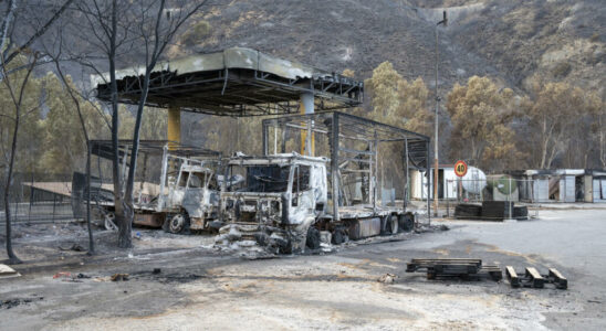 In Sicily fight fires by sowing flame resistant plants