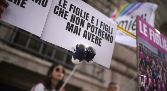 Italy publishes law banning the use of surrogacy abroad