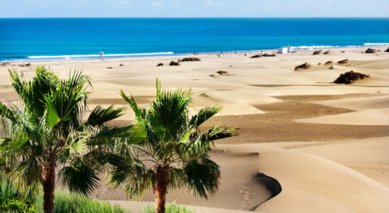 Its the Sahara by the sea this unique beach is