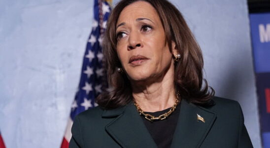 Kamala Harris could lose the election for a reason that