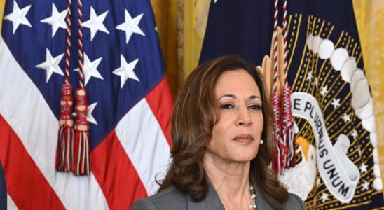 Kamala Harris or Donald Trump The big leap into the