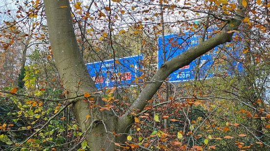 Large loach kingfisher and badger pass by in the battle